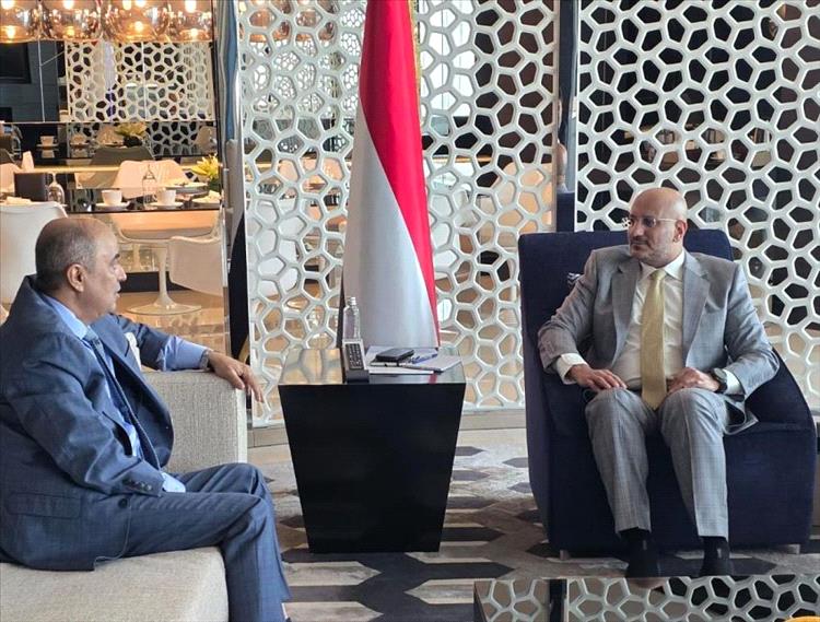 عضو مجلس القيادة طارق صالح يطلع من رئيس الوزراء على مسار الإصلاحات الاقتصادية والخدمية
