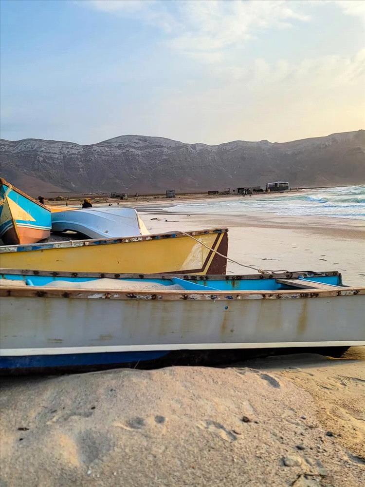 اجتماع في سقطرى يناقش الاستعدادات لانطلاق الموسم السمكي الجديد 2025–2026