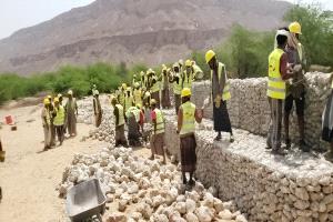 مدير عام مديرية القطن يتفقد مشروع من الغذاء  إلى الصمود النسخة الثانية