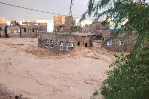 تدخل دولي عاجل لإنقاذ 620 أسرة في مأرب