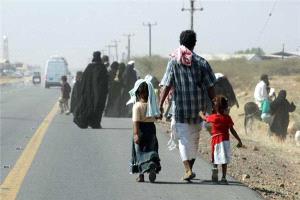 الهجرة الدولية: نزوح 23 أسرة خلال أسبوع
