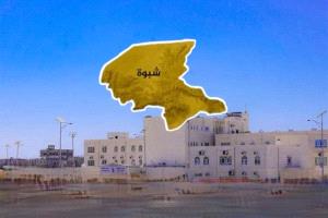 مناشدة عاجلة لتعزيز الأمن وحل قضايا الثأر في مديرية الصعيد بمحافظة شبوة