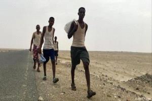 مسؤول أمني: انخفاض ملحوظ في أعداد المهاجرين غير الشرعيين على الساحل الغربي
