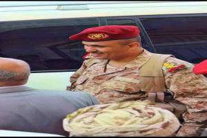 شرطة تعز تضبط قيادي عسكري على ذمة اغتيال افتهان المشهري