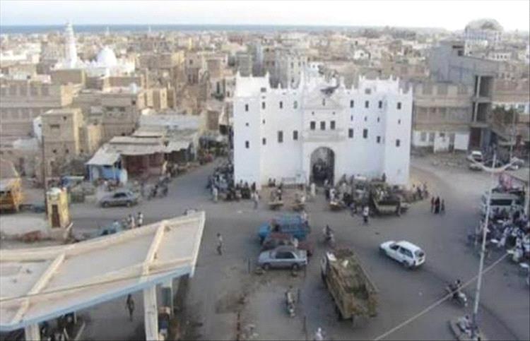 مدينة الشحر تستغيث.. «الذباب» يغزو الأحياء ومخاوف من تفشي الأوبئة