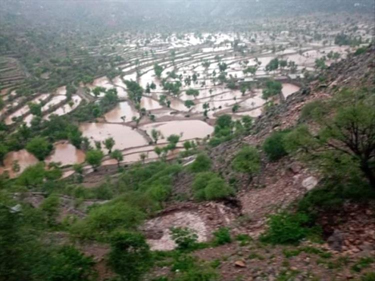 الأرصاد: أمطار رعدية متفاوتة تضرب عدة محافظات خلال 24 ساعة