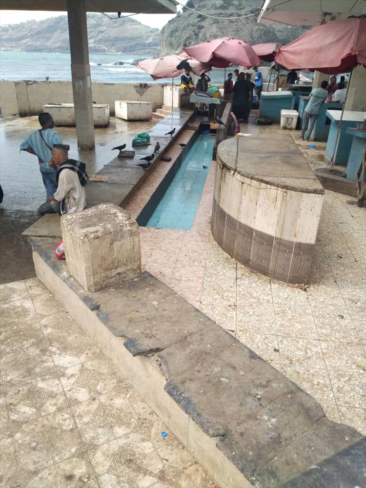 جمعية صيادي خليج صيرة تنتقد إيقاف خدمة تقطيع الأسماك بسوق عدن