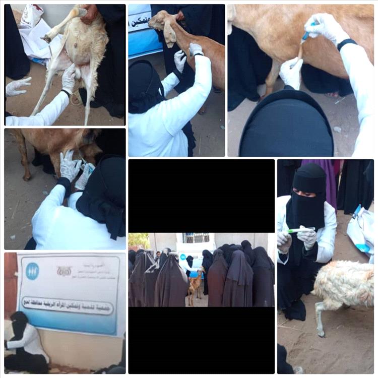 مركز 8 بقرية الوعرة ينفذ دورة تدريبية متخصصة في البيطرة والتغذية الحيوانية