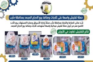 حملة تفتيش في مأرب تسفر عن ضبط مخالفة في وزن بيع الدجاج المجمد