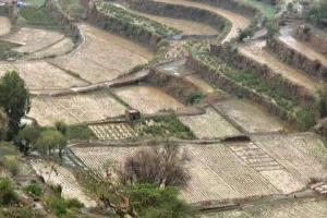 الأرصاد يتوقع هطول أمطار متفرقة متفاوتة الشدة بعدة محافظات