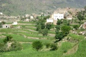 جريمة غامضة بإب.. مقتل امرأة طعنًا واختفاء ابنتها