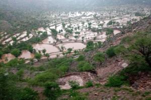 الأرصاد: أمطار رعدية متفاوتة تضرب عدة محافظات خلال 24 ساعة