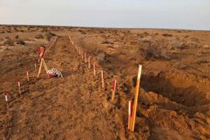 "مسام" ينزع أكثر من 555 ألف لغم منذ انطلاقه