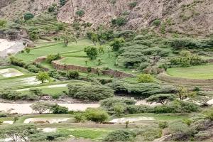 مأساة في ردفان : وفاة شقيقين غرقًا في منطقة نمرة الريفية