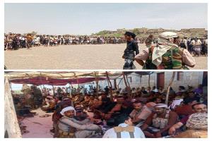 قبيلة "آل باهدى" تُحكم "آل حنش" لإنهاء قضية خلاف سابقة بأبين