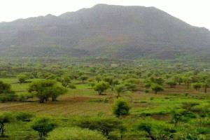 أبناء المشاولة والمعافر بتعز يناشدون النائب العام إحالة متهم بقضايا إرهاب إلى المحكمة الجزائية المتخصصة