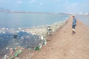 حملة نظافة بعدن تستهدف الأحواض المائية