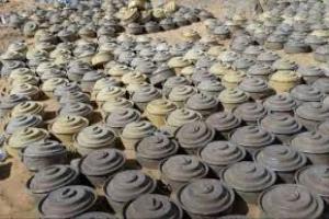"مسام" ينزع 1.231 لغماً خلال أسبوع زرعتها المليشيات الحوثية