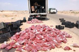 إتلاف كمية كبيرة من الفراولة غير صالحة للإستهلاك الآدمي في مديرية المنصورة بعدن