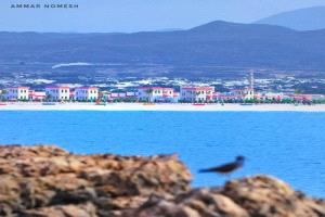 فقدان شقيقين خلال رحلة صيد قبالة سواحل شبوة