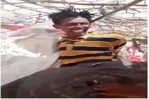 مشاهد صادمة من شبوة.. تعذيب مهاجرين أفارقة يثير غضباً واسعاً