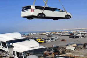 ميناء الشحر يعود للحياة.. انفراجة معيشية تنعش مئات الأسر في حضرموت