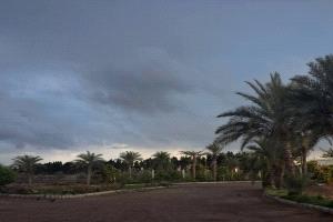 وفاة مواطن بانفجار مقذوف ناري من مخلفات حرب مليشيا الحوثي الإرهابية