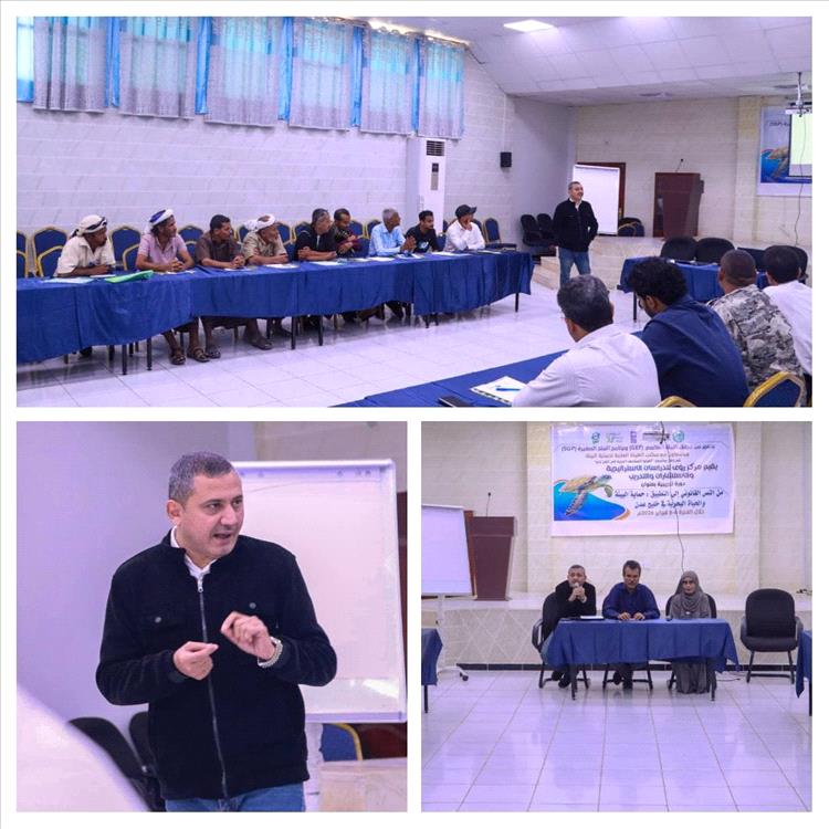 مركز رؤى للدراسات يدشن في عدن دورة بيئية متخصصة لحماية السلاحف