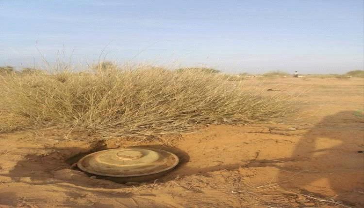 إصابة مواطن بجروح في الوجه واليد إثر انفجار لغم حوثي جنوب الحديدة