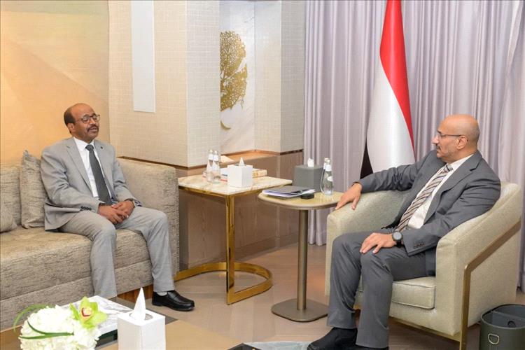 عضو مجلس القيادة طارق صالح يلتقي وزير النفط ويؤكد أهمية تطوير القطاع النفطي