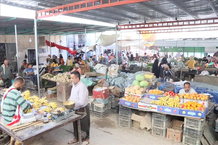 مدينة سيئون كما تبدو في غرة شهر رمضان 1447هـ