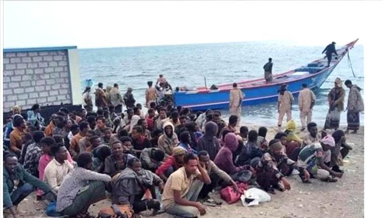 مدير إعلام رضوم: وصول 180 مهاجرًا إثيوبيًا على سواحل المديرية ونداء للحكومة لمكافحة الهجرة غير القانونية