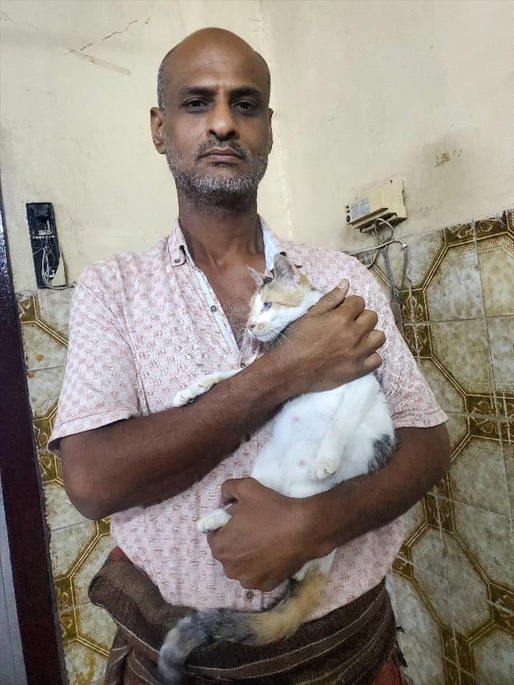 مناشدة إنسانية في عدن لدعم ملجأ خيري يؤوي 180 قطة بينها حالات مريضة ومعاقة