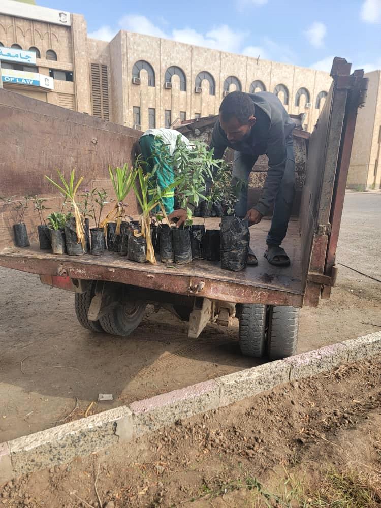 كلية الحقوق تتسلم شتلات زراعية من صندوق النظافة وتحسين المدينة في عدن