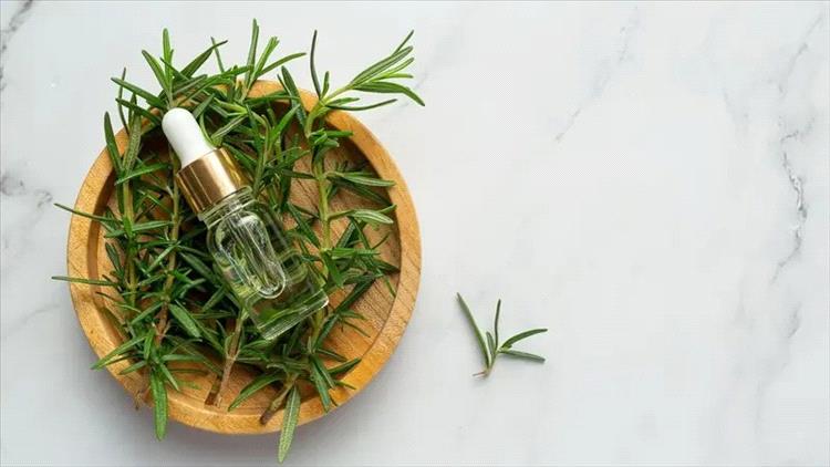 غلي إكليل الجبل.. حيلة بسيطة لتجديد هواء المنزل