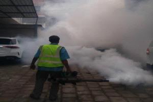 تواصل حملات الرش الضبابي ومكافحة الكلاب الضالة في عدد من احياء مديرية صيرة بعدن