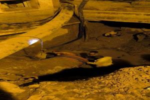 فرق مؤسسة مياه عدن تواصل إصلاح كسر في محطة ضخ الصرف الصحي الرئيسية بالمنصورة