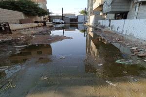 أهالي حي القاعدة الإدارية بخورمكسر: نعيش وسط مستنقعات المجاري والأمراض تفتك بنا وإدارة المديرية تتجاهلنا