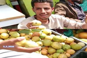 مدير إعلام ردفان "رائد الغزالي" يسلط الضوء على قصص الكفاح في أسواق المديرية