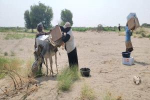 الحوثيون حوّلوا رمضان المبارك ضيفاً ثقيلاً على اليمنيين