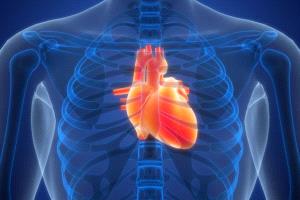 8 عادات يومية تضر بصحة قلبك.. كيف تتجنبها؟