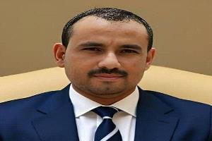 احمد الشعيبي: استمرار تولي رئيس الوزراء لحقيبة الخارجية يثقل كاهل الحكومة