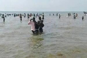 وصول قاربان يحملان 300 مهاجر غير شرعي إلى سواحل رضوم بشبوة