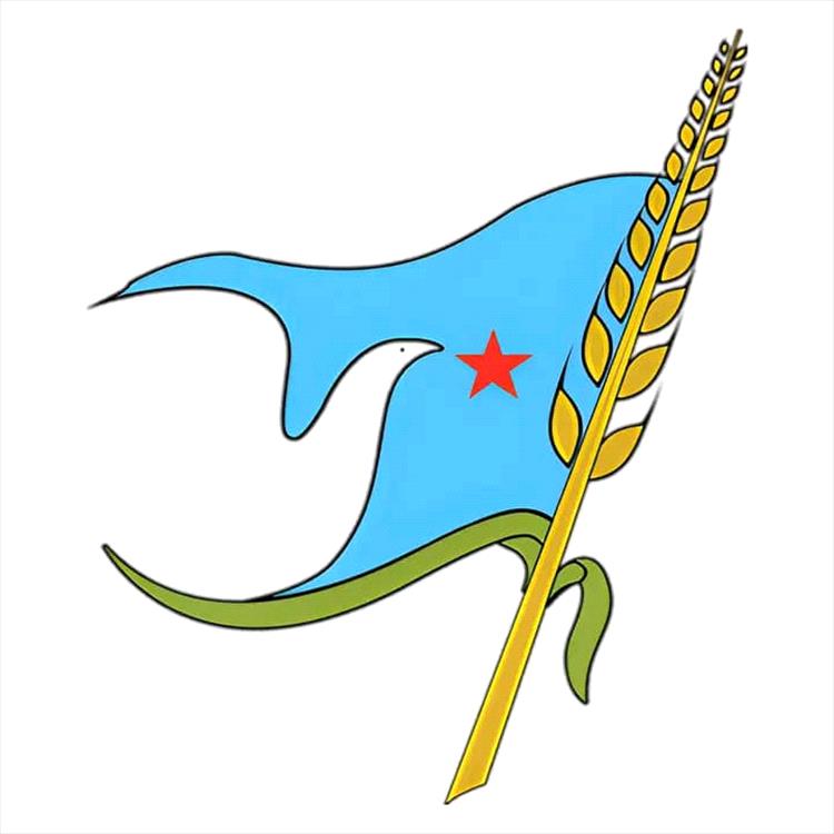 الاشتراكي يرحب بدعوة الرئيس العليمي لمؤتمر القضية الجنوبية ويؤكد: الحل العادل مدخل للاستقرار وبناء الدولة