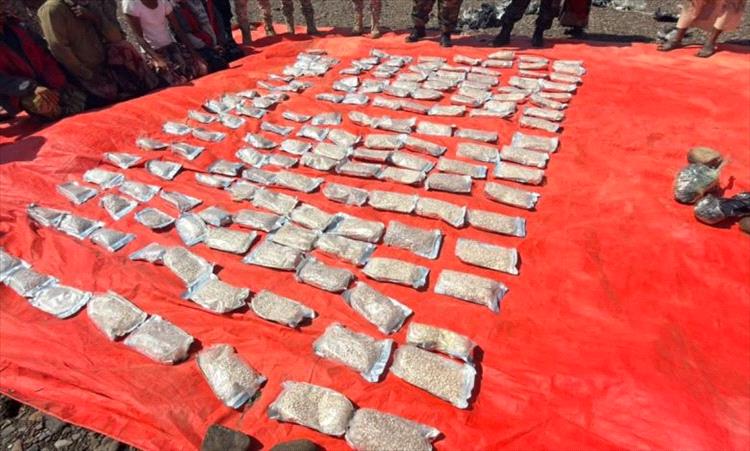 الداخلية تعلن ضبط 1260 متهماً على ذمة قضايا مخدرات