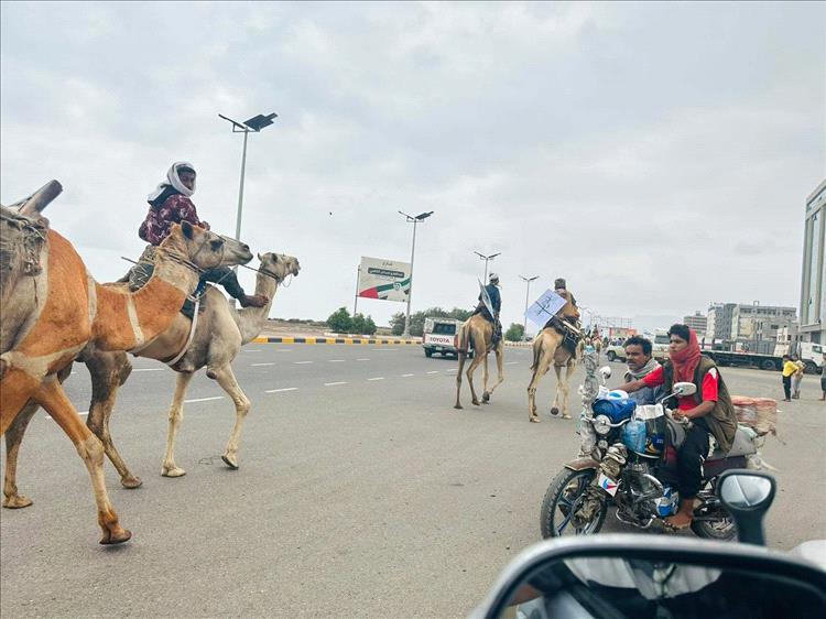جمال في طريقها إلى ساحة العروض 