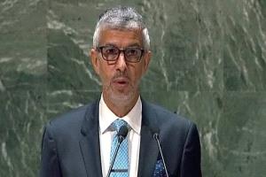 السعودية أمام مجلس الأمن : المجلس الانتقالي الجنوبي هدد أمنا القومي بأفعال بالغة الخطورة