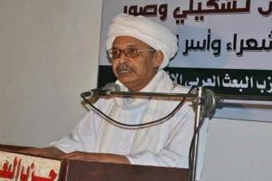مفكر سوداني: خلاصة التجربة والتاريخ معا.. كل دولة فتحت باب الحوار للإنفصال أنتهت بالتقسيم