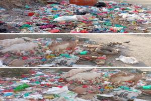 خنفر .. إنتشار القمامة في حي المثلث وإهمال متعمد يؤدي إلى تكاثر الحشرات