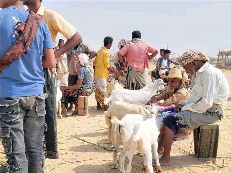 شمال تهامة.. كارثة إنسانية تتفاقم بين حصار الحوثيين وغياب مؤ